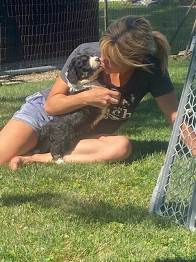 puppy love.png
