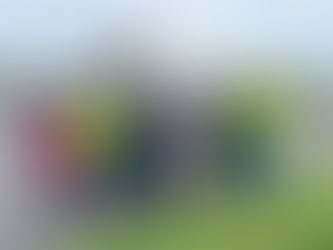 Jess Brown-Fuller MP calls for safer road crossing on St Paul’s Road 