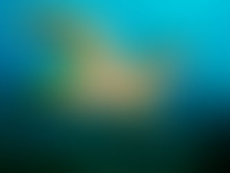 Sea Turtle Shells Serve as Biological Time Capsules for Ocean Change