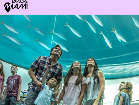 Miami-Dade County Hosts Arts Grants Workshop for District 7 on April 14, 2026