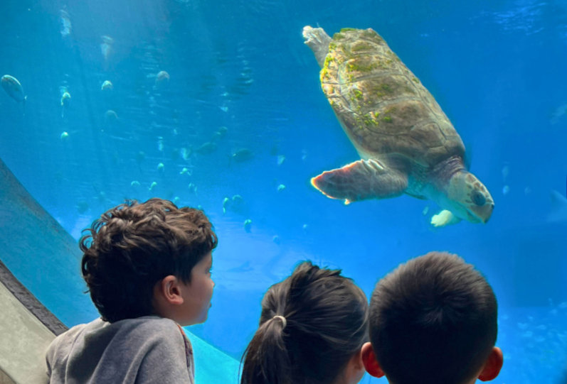 Frost Science Offers Discounted Youth Explorer Ticket for Florida Residents Through May 14, 2026