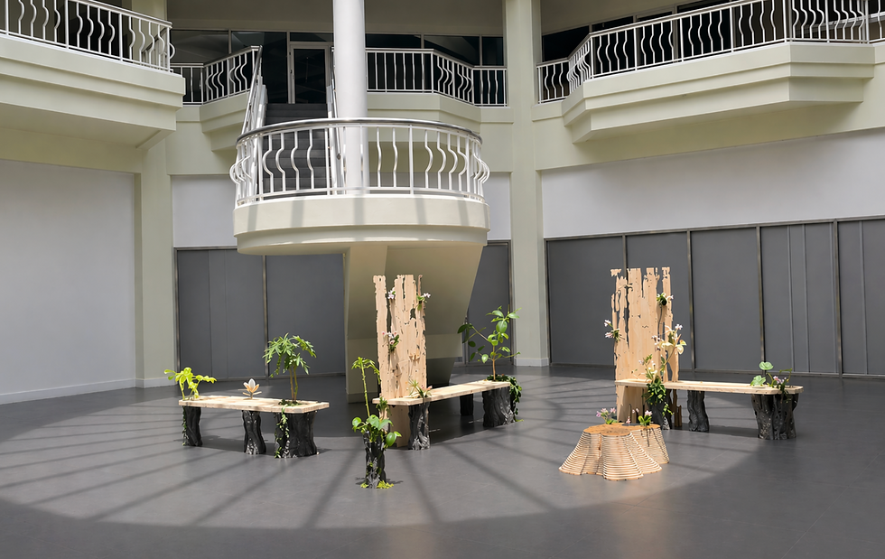 Miami Design District Unveils New Cultural Exhibitions: Joyce