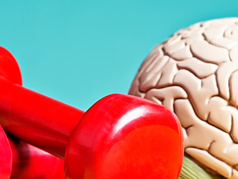 Your Brain Can Be Trained, Much Like Your Muscles – A Neurologist Explains How To Boost Your Brain Health