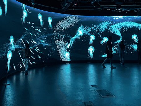 Frost Science Announces Spring Break Hours, Camps and Special Programs in Miami