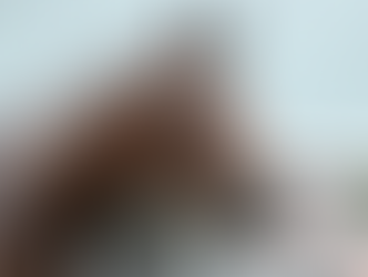 Behind-the-Scenes Look at 2026 Kentucky Derby and Oaks Contenders