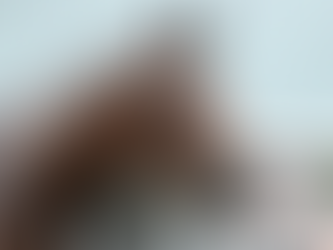 Behind-the-Scenes Look at 2026 Kentucky Derby and Oaks Contenders