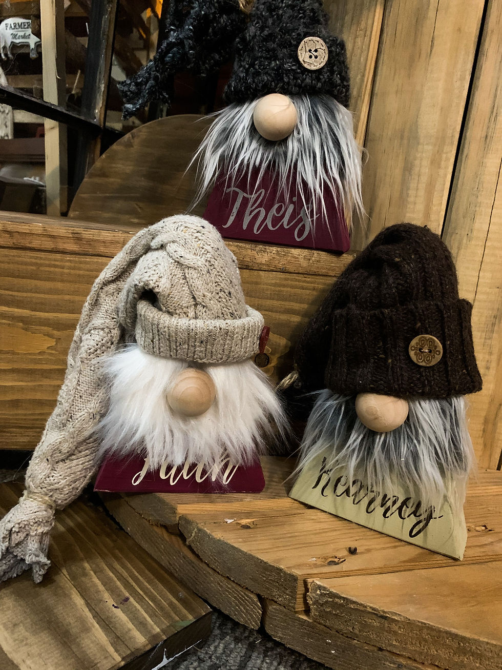 Customized Gnomes (1)