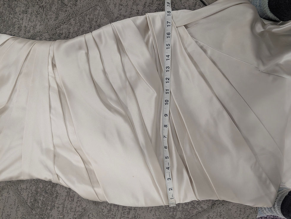 La Sposa by Pronovias Size 6 Oyster