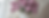 Spring Clearance Lilac Bridal Savings (1).png
