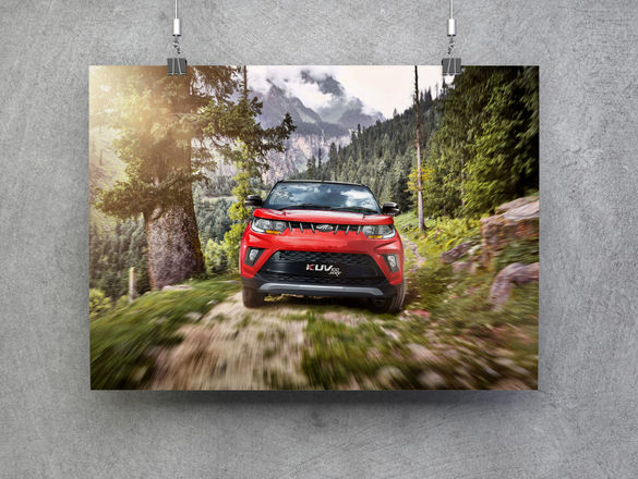 jungle shot copy.jpg