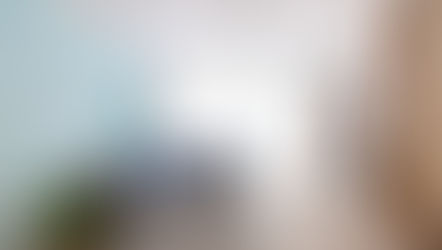 הבית המשמח של אביב