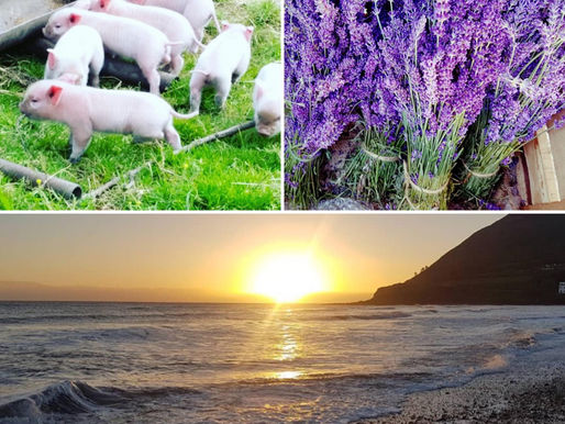 CREATIVE WICKLOW GRANT SCHEME FOR 2024 ANNOUNCED