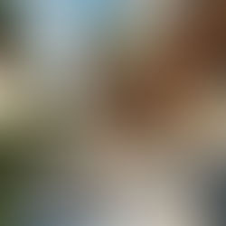 X Penthouse Apartment