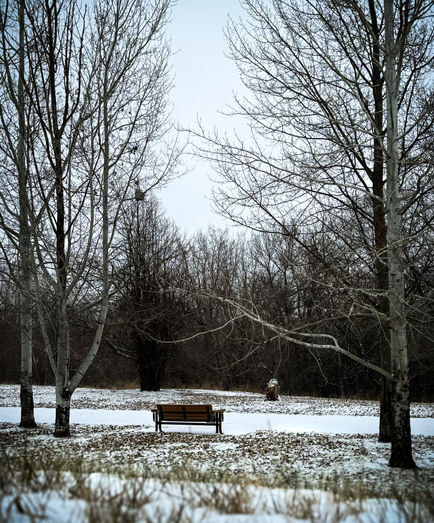 winter 4.JPEG