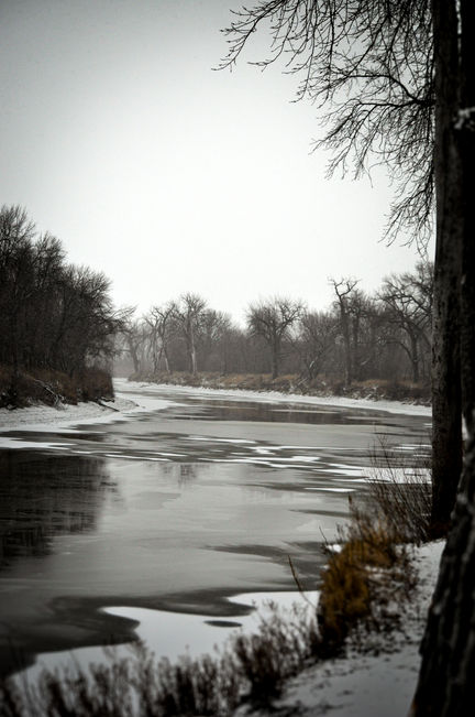 winter 2.JPEG