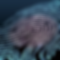 Artboard 22