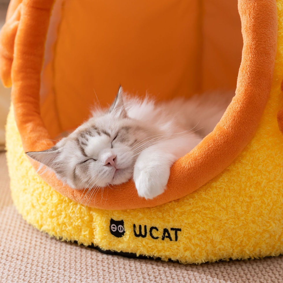 Thumbnail: Funny Dog Bed Pets Dogs Small Breeds Mat Cats Puppy Bedding Pet Products Fluffy 