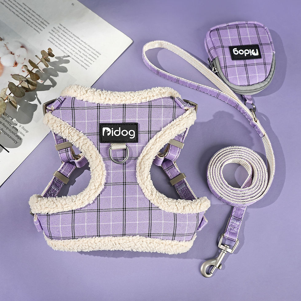 Thumbnail: Soft Pet Dog Harnesses Vest No Pull Adjustable Chihuahua Puppy Cat Harness Leash