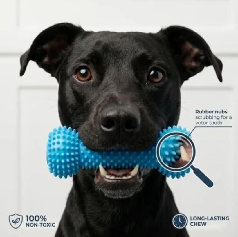 Thumbnail: Dual-Action Canine Dental Prop Dog Dental Chew Toy for Easier Teeth Brushing