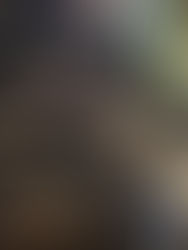 11/5(日) 笠置山クライミングエリア講座　無事終了