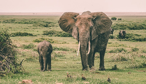 harshil-gudka-VCAxkOfxtNI-unsplash_edited.jpg