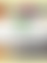 世界のランチ-中南米の料理チリコンカーン編