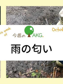 雨の匂い、滴の感触、たき火の暖かさ