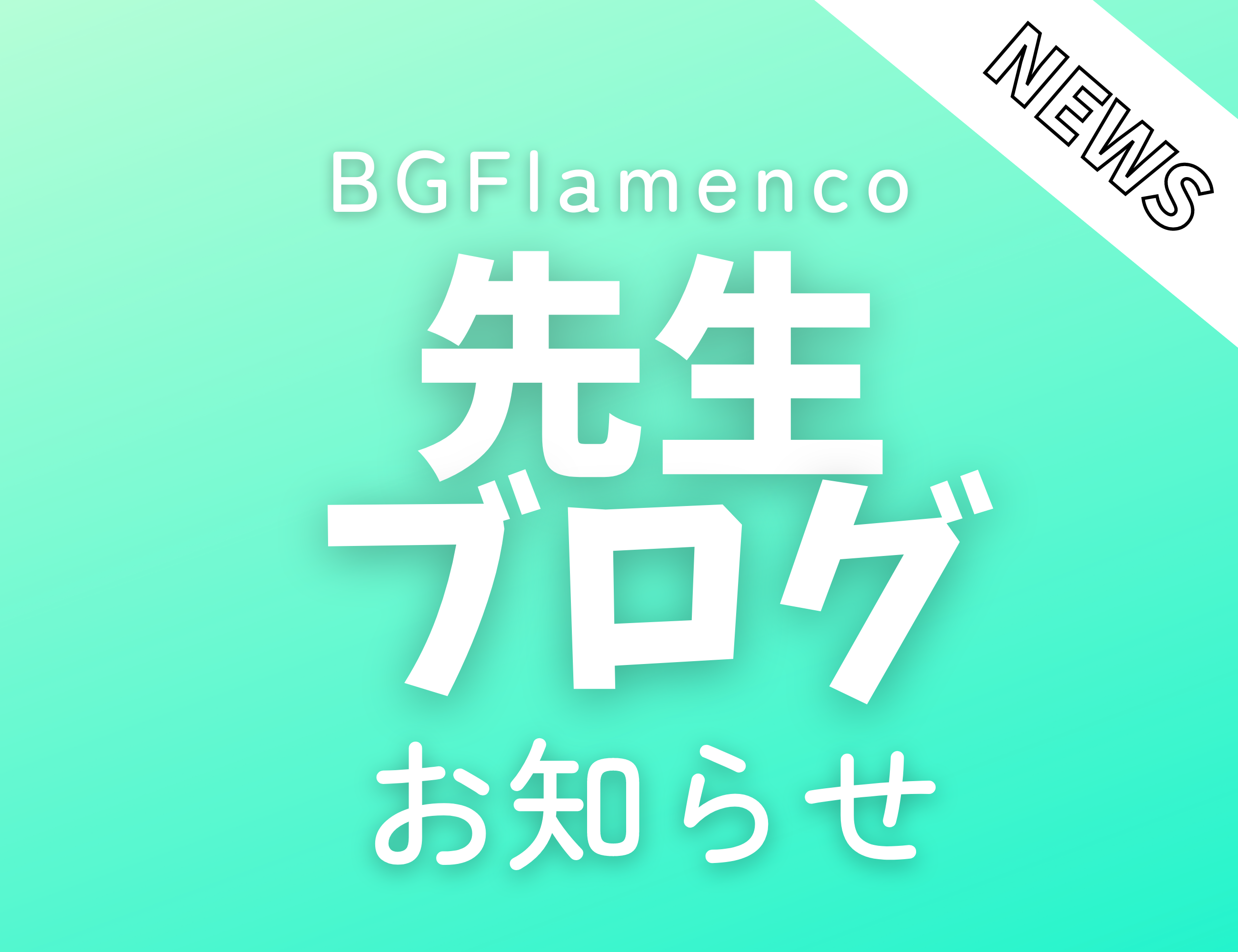 2023년 11월 5일 스튜디오 콘서트: 네 참가자의 소감 표지