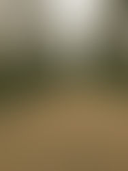 Quando o chão some: Aprendendo a viver no meio do caminho