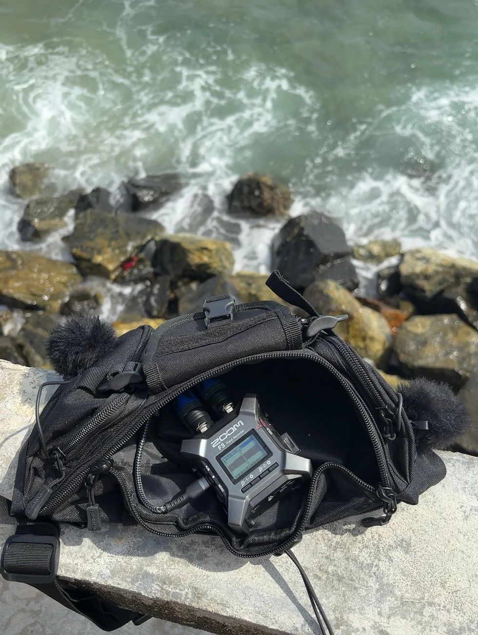 Field recording in action