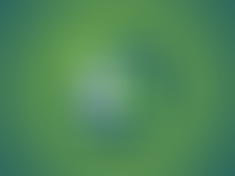 Programa 5S: 4º e 5º Senso