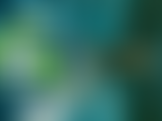 Atualizações sobre a Auditoria do 5S