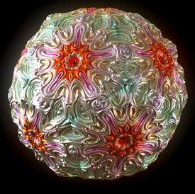 Amanita 8