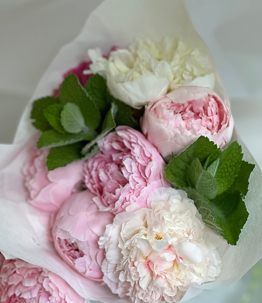 2026 Peony Subscription | Fly Creek Flowers