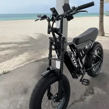 Dttzh F6 Moped Style eBike Under $1500 in 2026