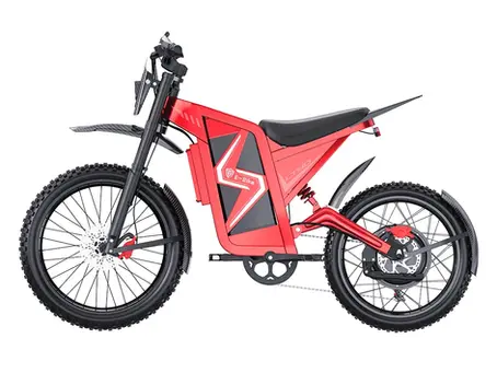 DTTZH LT90 electric dirt bike for adults