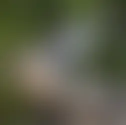 Best Mountain eBikes