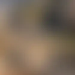 Most Popular Ebike Brand