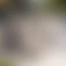 Best Electric Bikes Under $1500