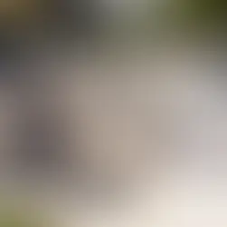 Best Electric Bikes Under $1500