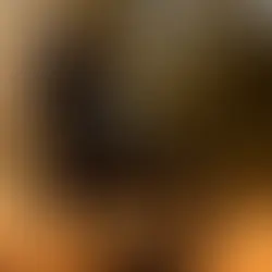 Best Cheap Dttzh F6 Electric Bikes Under $1000