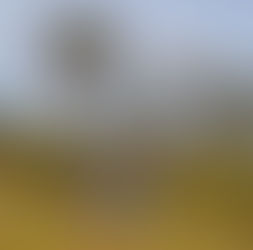 VOCÊ CONHECE O LIA?