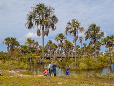 VOCÊ CONHECE O LIA?