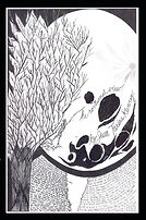 The nocturnal view - Copy.jpg