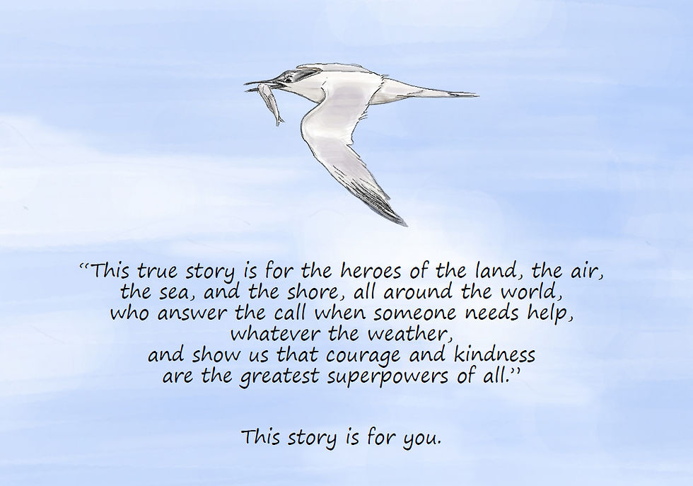 seagull