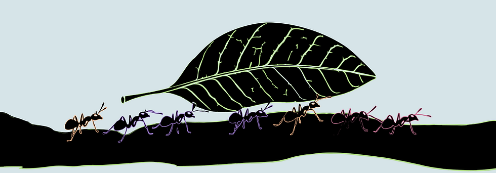 illustrator formigas recim