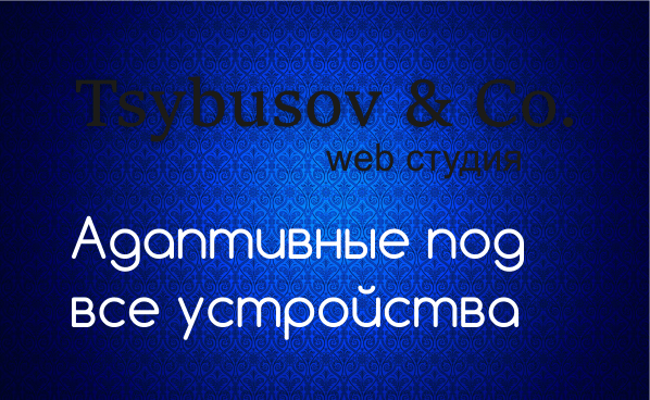 Web студия Tsybusov