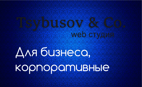 Web студия Tsybusov