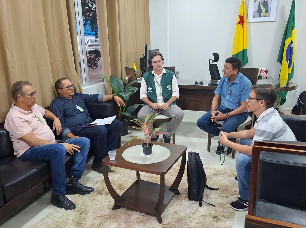 Institucional e Governo