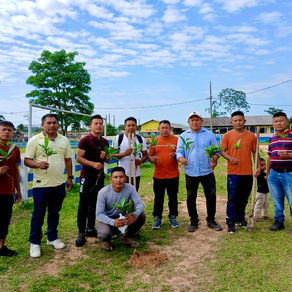 Prefeitura realiza serviço de arborização urbana em pontos específicos do município